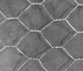 ʯ�\�W(w��ng)