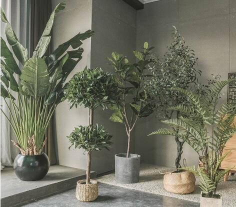 ����ֲ��