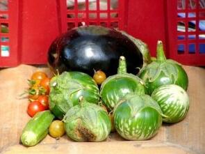 �r(n��ng)�a(ch��n)Ʒ