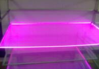 ��(d��o)���