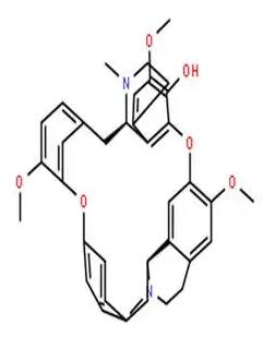 �����Z�։A