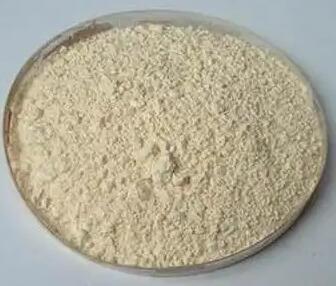 �S���S��