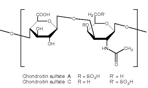 ����ܛ����