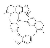 ǧ������