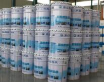 ����Ϳ��