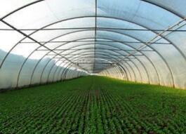 ���Ҵ���