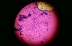 ��ˮ̎����