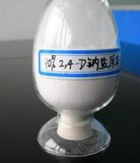 2��4-���c�}