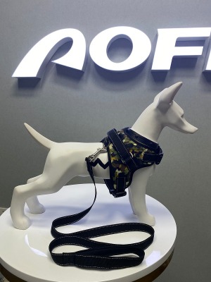 �R��ʽ�ر���