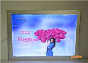 ���F3.5cm�������y��������