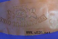 Ƥ����l�����C���z���ܲ����z����Ƥ������z(�D)