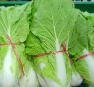 �����߲����͌����߲�����ʯ�r���ļZ�����l�߲����͹�������