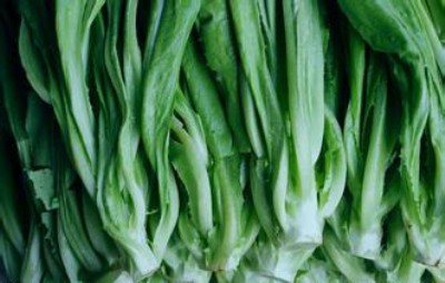 �|ݸ��ʳ�óа������(zh��n)�߲����ͼZ�̓������l(f��)��˾