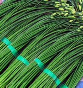 �|ݸ��ʳ�óа�������߲����ͼZ�̓����߲����l��˾