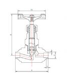 不銹鋼承插焊針型閥