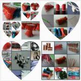 ����g�� �������� ��ɫ�����