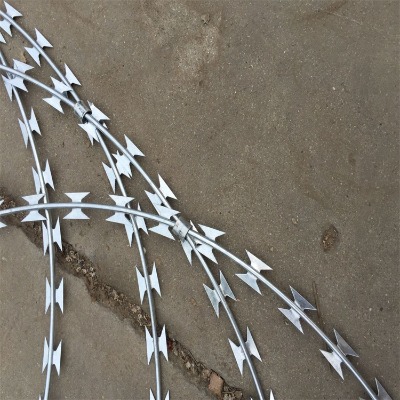 �ӱ���Ƭ���K�S�ҹ����o�a�O(ji��n)�z�������I�W(w��ng)���ݷ����̾W(w��ng)