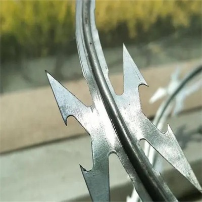 �ӱ��̽z�L�\�S�ҹ������u�O�z���o�Ͳ����I��Ƭ���K