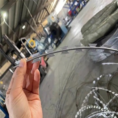 �ӱ���Ƭ�̾W�S�ҹ������݇������S�����W���ݲ��P䓴̾W