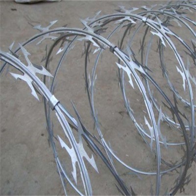 �ӱ���������Ƭ���K�S�ҹ�������߅�����F�̽z�W��̶��Ƭ���K