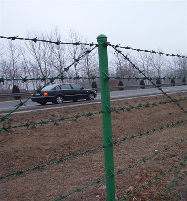 q195�ιɴ��K�p�ɴ��K���ܴ��K