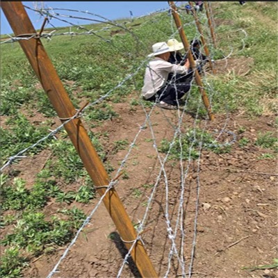 ƽ�����@�����F��޼pvc���ܴ̾W��\�F�̾�