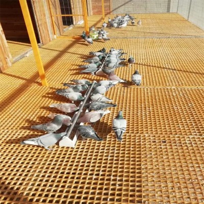 �ӱ�����䓾W(w��ng)��ŏS�������B(y��ng)���Ӳ����䓸�Ű���̶�؜ϸ�Ű�