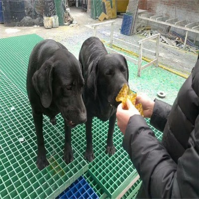 �ӱ�����䓾W(w��ng)��ŏS�ҹ���(y��ng)�G�Tϴ܇����ˮ�����G�ݘ�Ӹ��