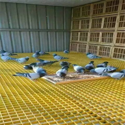 市政工程樹坑格柵樹脂排水篦子污水池加蓋地溝蓋板