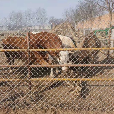 �ӱ���\�����W(w��ng)�S�ҹ���(y��ng)�(y��ng)Ȫ�V��֧�o(h��)�^�W(w��ng)�L(zh��ng)��ú�V�������z�W(w��ng)