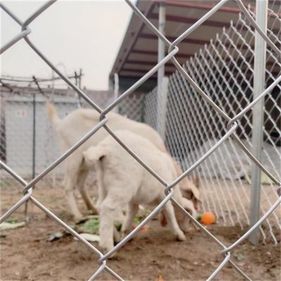 �ӱ���\�����W�S�ҹ��������B�u䓽z��j�W�����w�������Ç��W