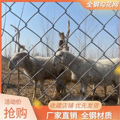 �ӱ��V�������^�W�S�Ұ����w�����������W�����w�������o����