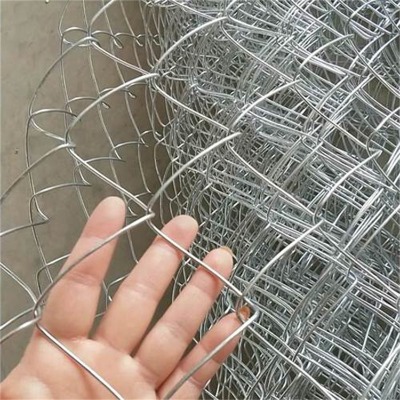 �ӱ�ú�V֧�o(h��)�W(w��ng)�S��ɽ�|ֲ�݇����F�z�W(w��ng)��(j��)�Ϲ��@�B(y��ng)ֳ���o(h��)�W(w��ng)