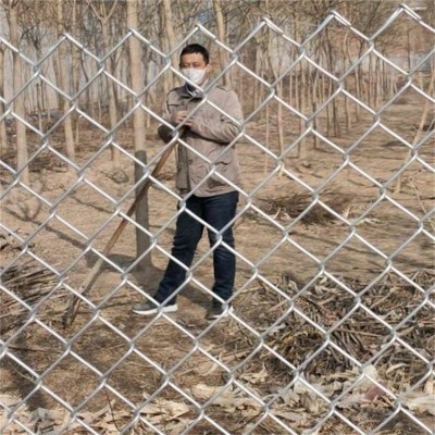 �ӱ������Bֳ�F�z�W�S�����e��\�F�z���o�W�V����\֧�o�����W