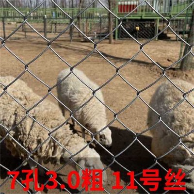 �ӱ��w�������W�S�ҹ������ݟ���\Ȧ�ؾWȪ�ݰ��z���·��W