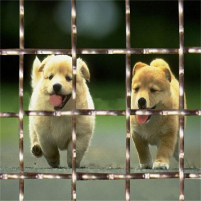 �ӱ�65�i䓺Y�W(w��ng)�S�ҹ���(y��ng)�е�45̖(h��o)��䓺Y�W(w��ng)����65�i䓺Y�W(w��ng)