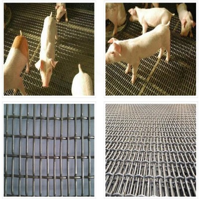 �ӱ��P�l�����Y�W(w��ng)�S�I���^�V���P�܈���W(w��ng)���½��ٲ��P�܈���W(w��ng)