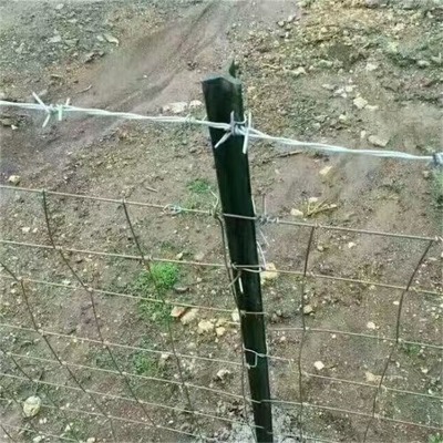 5����С�^���^���I�W�����̾W�F��޼�����F�z�W