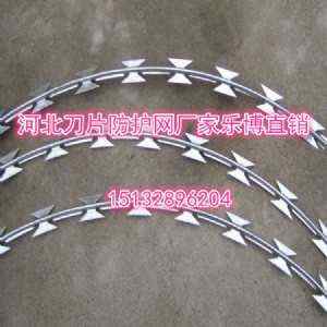 �����I��Ƭ�̾W�������C�����K���o�W�S��