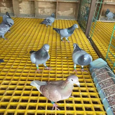 �ӱ�����䓸�Ű�S�ҹ����ຣ�r�۸������4s�ꌣ�ò���䓸��