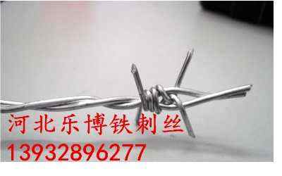 ɽ�|���F�z2.5���״�50���L�S�ҬF؛����