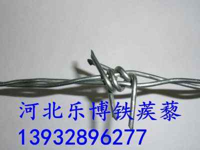 ���չ��@���o�����F�zʏ����ȫ���o�F��޼