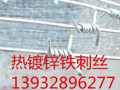 �½���·�F�z�W���͹�·䓽z�W