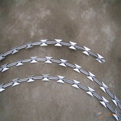 �����������F�z�W�B�T���I���x䓾W��