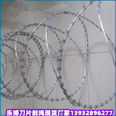 ɽ�|�̽z�L�\���χ������������u���I�̎�