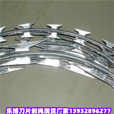 �_����Ƭ���K�҈@�C����Ƭ�̾W�_�Ї������o