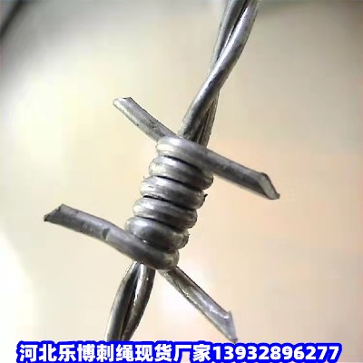 �|����·�̾W(w��ng)�F�X��·�B(y��ng)�o(h��)�����F�z�W(w��ng)���|��·�B(y��ng)�o(h��)䓽z�W(w��ng)