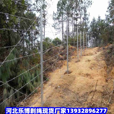 ���������ٹ�·���F�z�F�����ٹ�·�����F�z�W������·�B�o���o�W