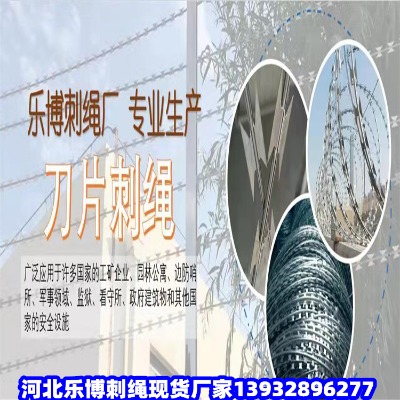 ���������I�F�z�̾W�峣��·�B�o���F�z�G�ӵ�·�B�o䓽z�W