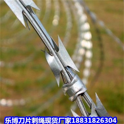 ������\���K�S�� ���ݸ��\���P���I�W �B�T���I��Ƭ�̽z